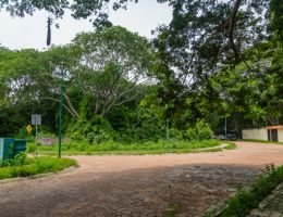 Photo 14 of Ixtapa | Terreno en Venta en Zona Residencial